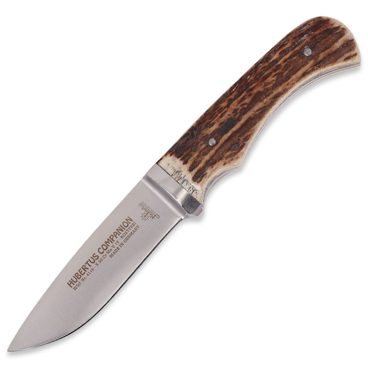 HUBERTUS Companion Stag