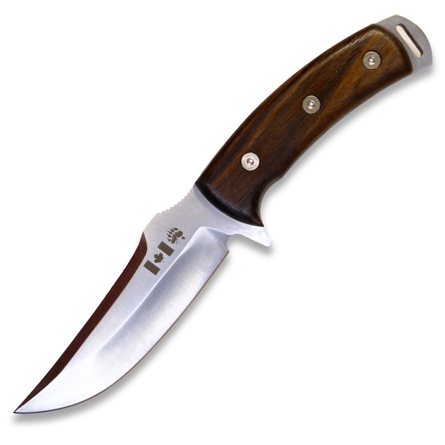 Teckel Bär, Walnut with Leather Sheath