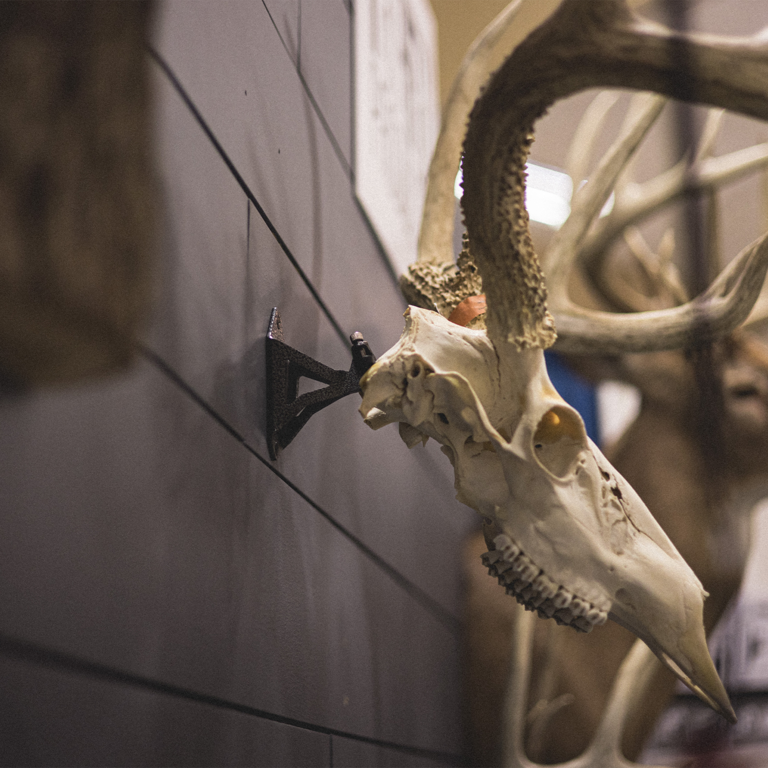 the HANG UP (European Mounting Bracket)