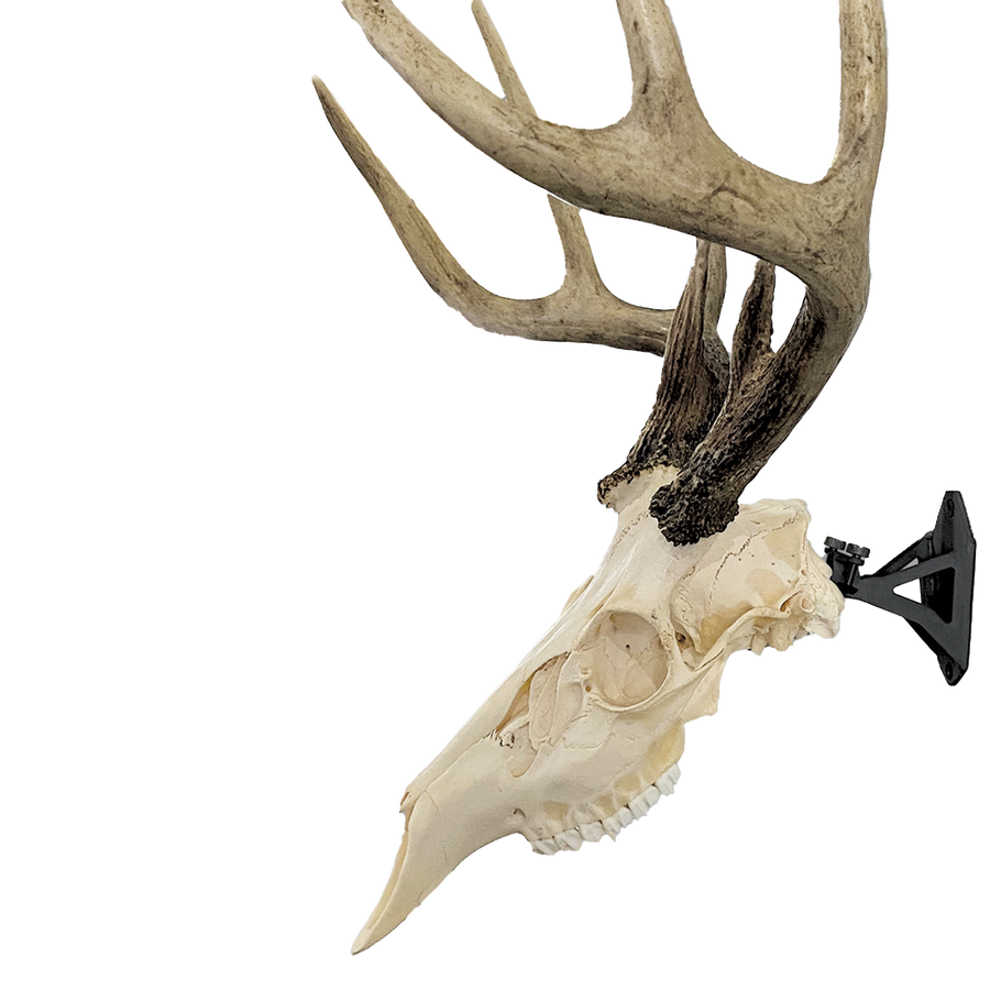 the HANG UP (European Mounting Bracket)